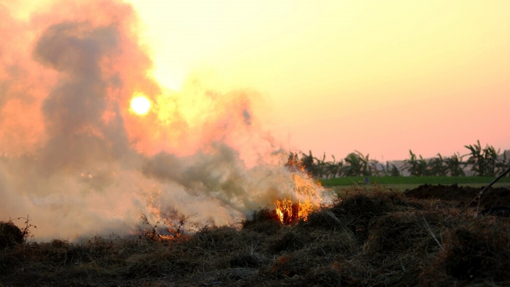 NAM-TURAL-ECO-FIRELIGHTERS,-Fire-Starter-Made-from-Rice-Straw-in-Vietnam-burning